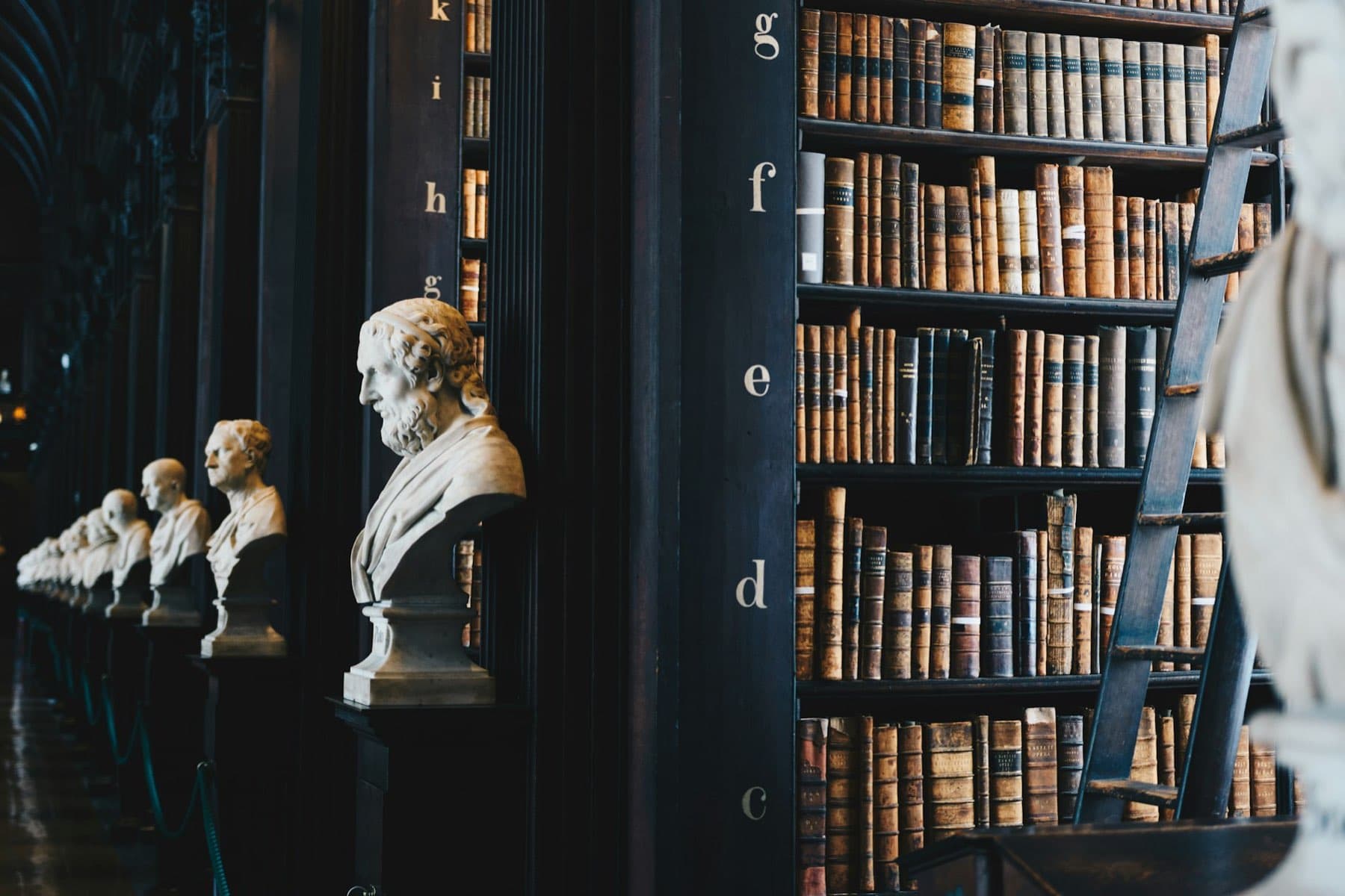 The reading room of a grand library, lined with old bound volumes and marble busts